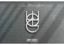 create unique name logo for your tattoo